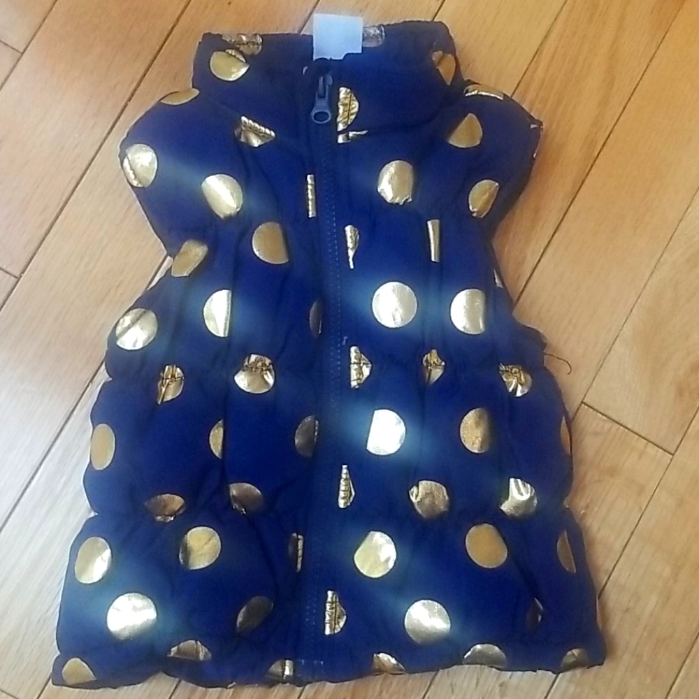 Puffer Vest 2T Blue & Gold